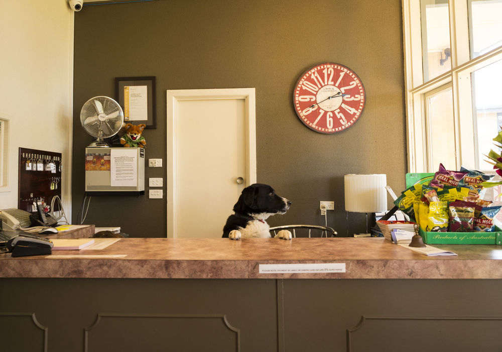 Motel Traralgon Ngoại thất bức ảnh